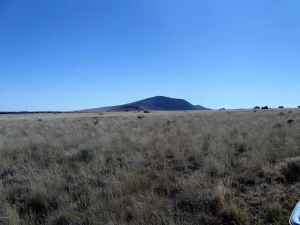 Flagstaff, AZ 86004,42-018-D Alpine Ranches