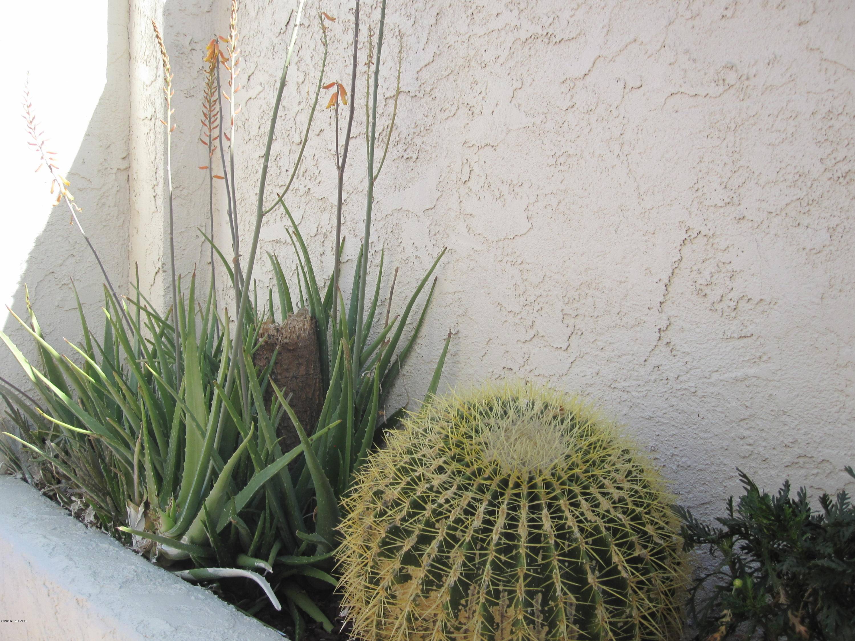 Tucson, AZ 85701,201 N Ashbury Lane