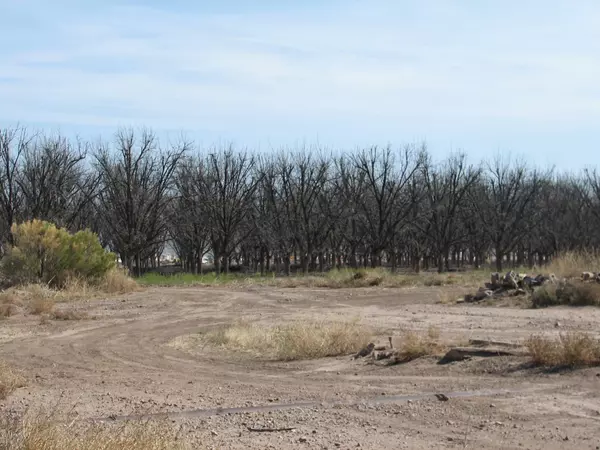 Elfrida, AZ 85610,Martineau Road