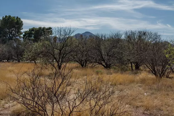 Tubac, AZ 85646,2363 Camino Esplendido  #66