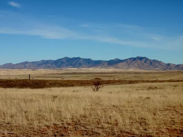 Sonoita, AZ 85637,Swanson Road #Lot 2