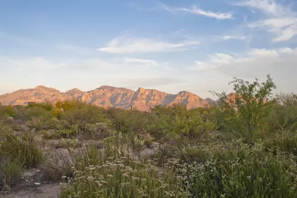 Oro Valley, AZ 85755,13871 N Old Forest Trail #105