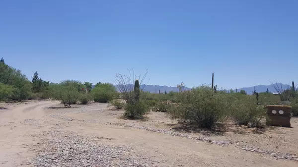 Sahuarita, AZ 85629,6855 E Camino Del Toro