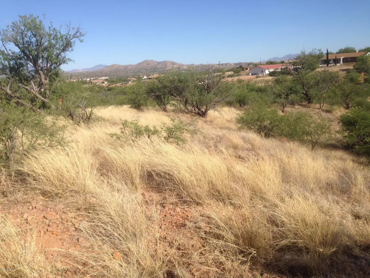 Rio Rico, AZ 85648,267 MIRTO Court