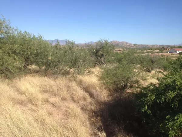 Rio Rico, AZ 85648,267 MIRTO Court