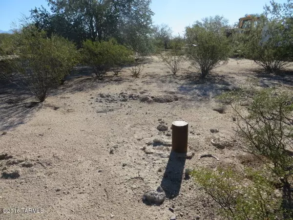 Marana, AZ 85658,7979 W Tangerine Road