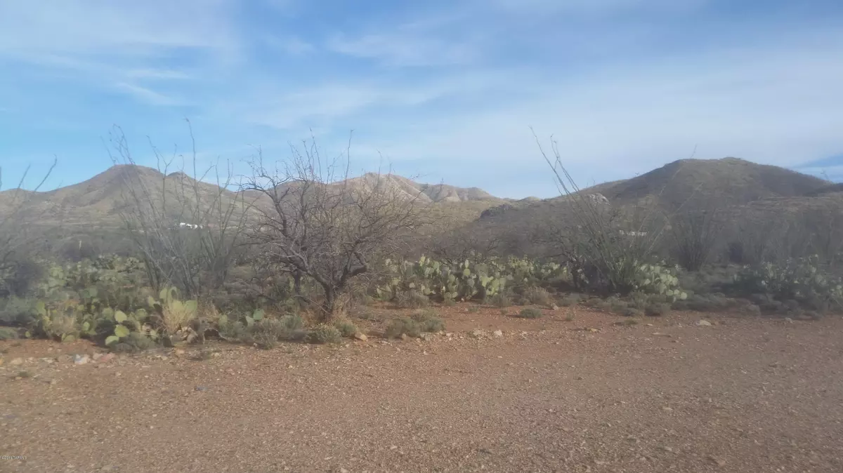 Vail, AZ 85641,00 E Ocotillo Rim Trail