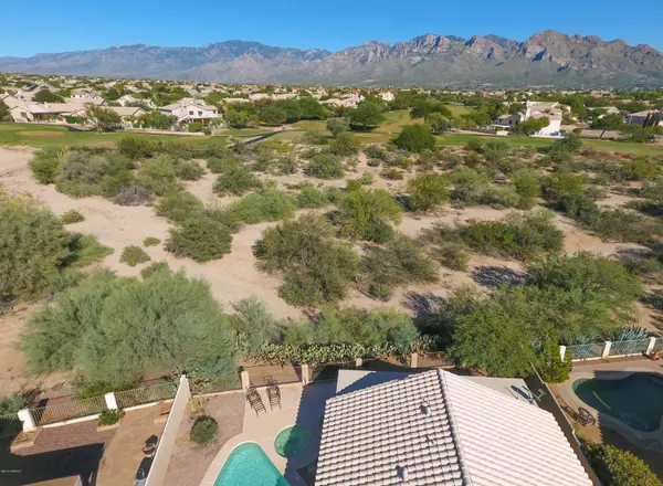 Oro Valley, AZ 85737,10972 N Double Eagle Court