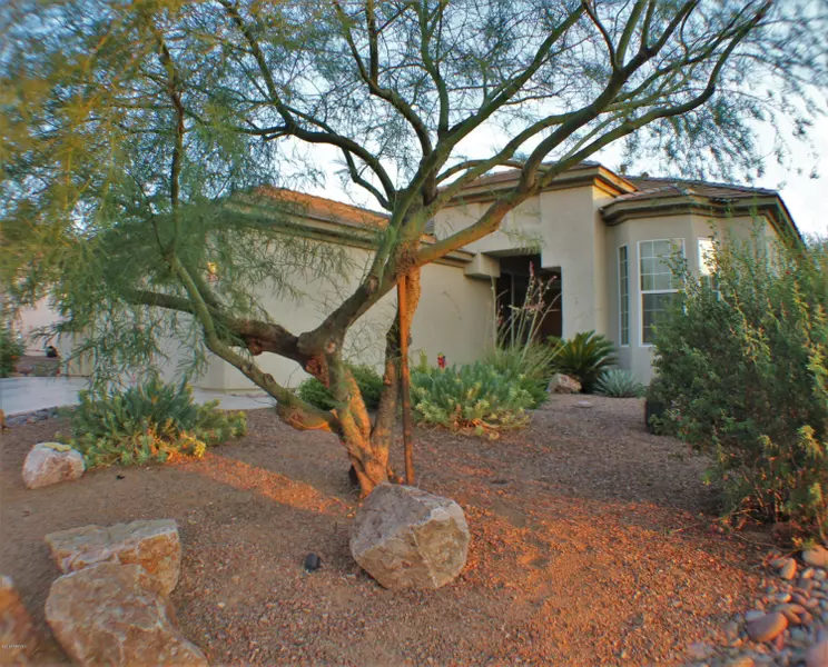 5329 W Christmas Cholla Street, Marana, AZ 85658