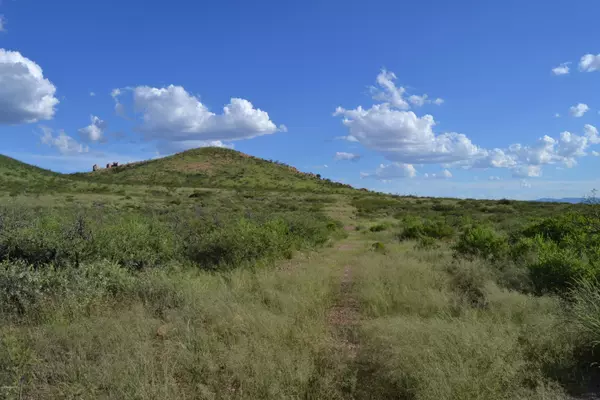 Douglas, AZ 85607,Tbd E Green Wash Road