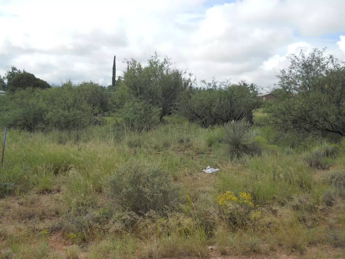 Benson, AZ 85602,TBD W Mirasol Drive #383