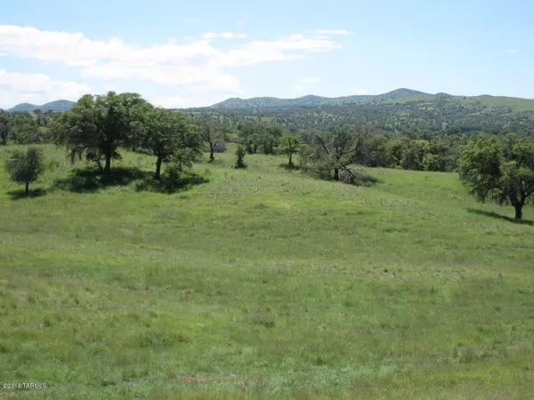 Sonoita, AZ 85637,16 Gila Road