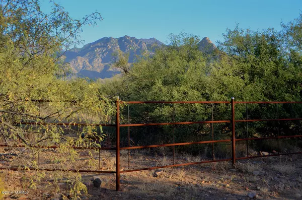 27035 S Coopers Hawk Road, Amado, AZ 85645