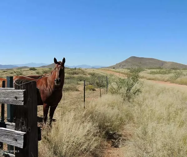 170 ACRE on Reata Pass #1, Elfrida, AZ 85610