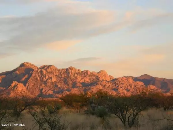 St. David, AZ 85630,Lot 91 N Horned Owl Lane #91