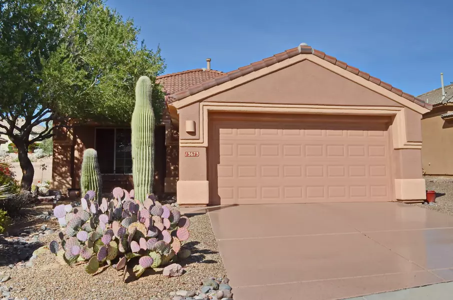 13673 N Gold Cholla Place, Marana, AZ 85658