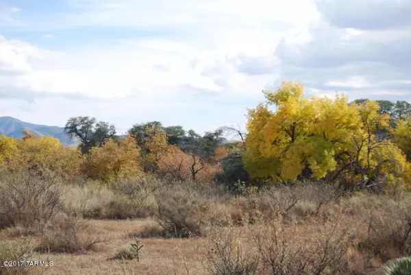 Pearce, AZ 85625,18.8 Acres, S. Price Ranch Rd  #0