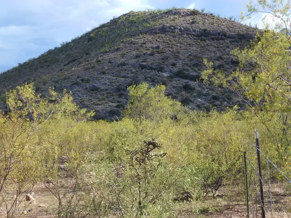 10.15 acre W Portal Road, Portal, AZ 85632