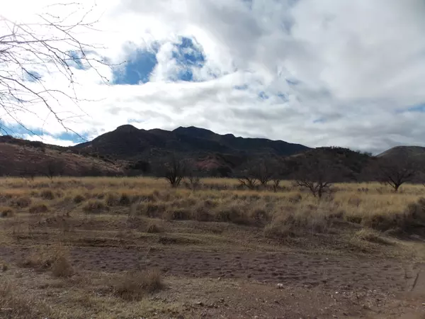 TBD Harshaw Road, Patagonia, AZ 85624