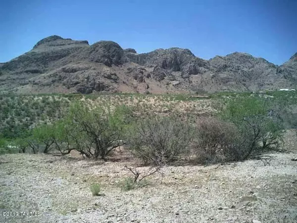 Tubac, AZ 85646,TBD MOUNTAIN  #0