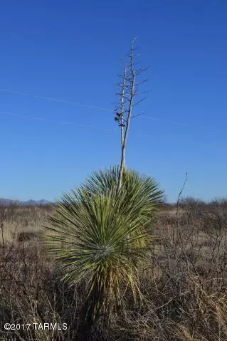 Elfrida, AZ 85610,10524 N Harris Boulevard