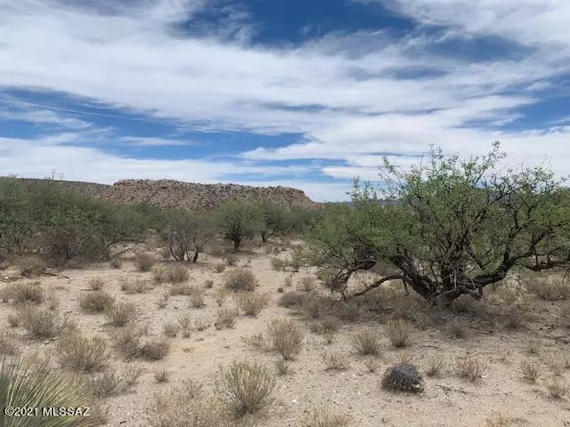 Ocotillo Road, Benson, AZ 85602