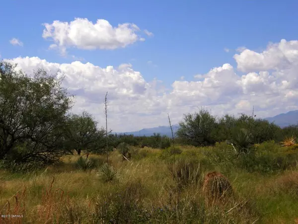 St. David, AZ 85630,Lot 41 E Roadrunner Trail #41