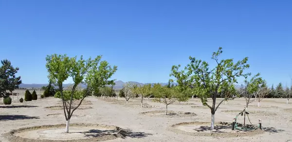 Elfrida, AZ 85610,4075 W Webb Road