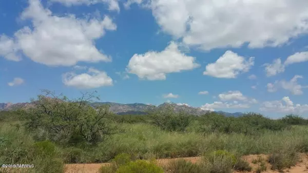 Lot 37 De Vaca Circle #37, St. David, AZ 85630