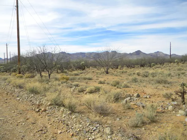 Circulo Agua Blanca  #0, Rio Rico, AZ 85648