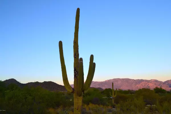 Oro Valley, AZ 85755,14376 N Travertine Place #18