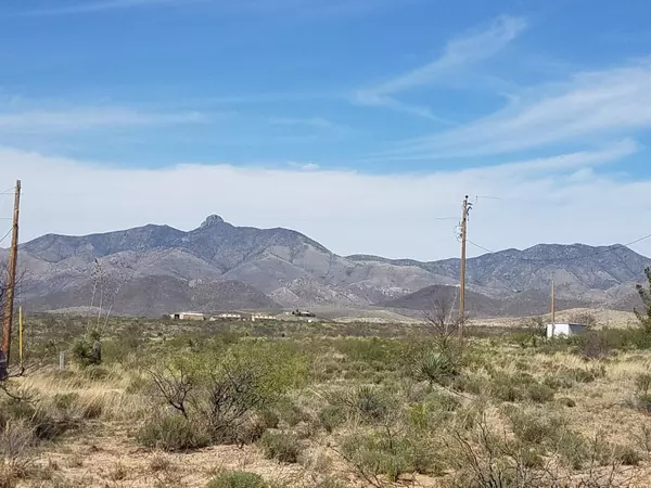 38 ac. S Bascom Trail #60, Willcox, AZ 85643