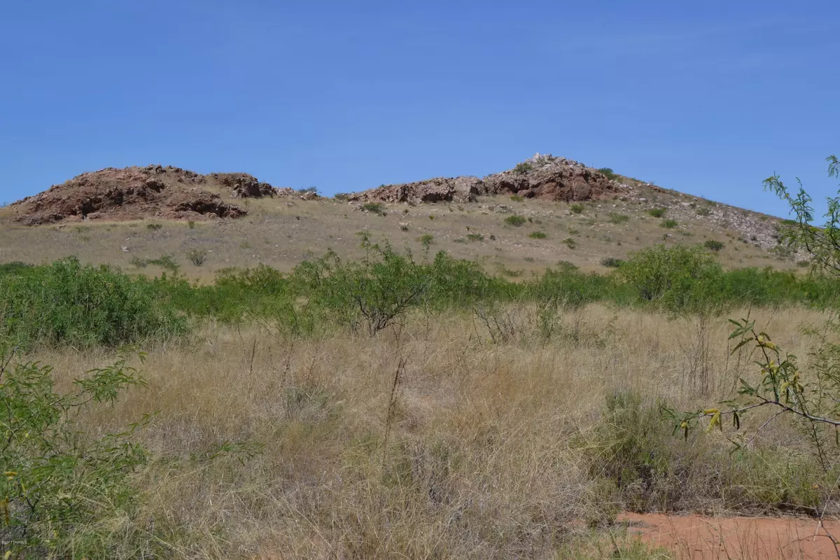 Elfrida, AZ 85610,Tbd 40 Ac Ash Creek Ranches  #112