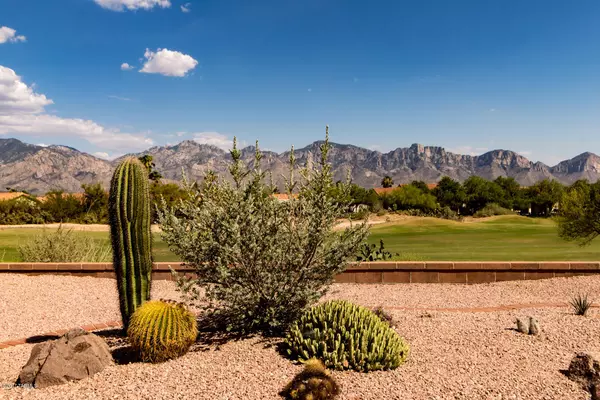 1368 E Mule Train Drive, Oro Valley, AZ 85755