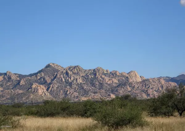 St. David, AZ 85630,Lot 158 E Diamondback Road #158