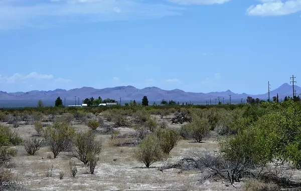 San Simon, AZ 85632,80 acres W 3rd Street