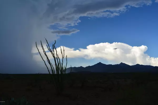 TBD Camino Nacozari  #63, Rio Rico, AZ 85648