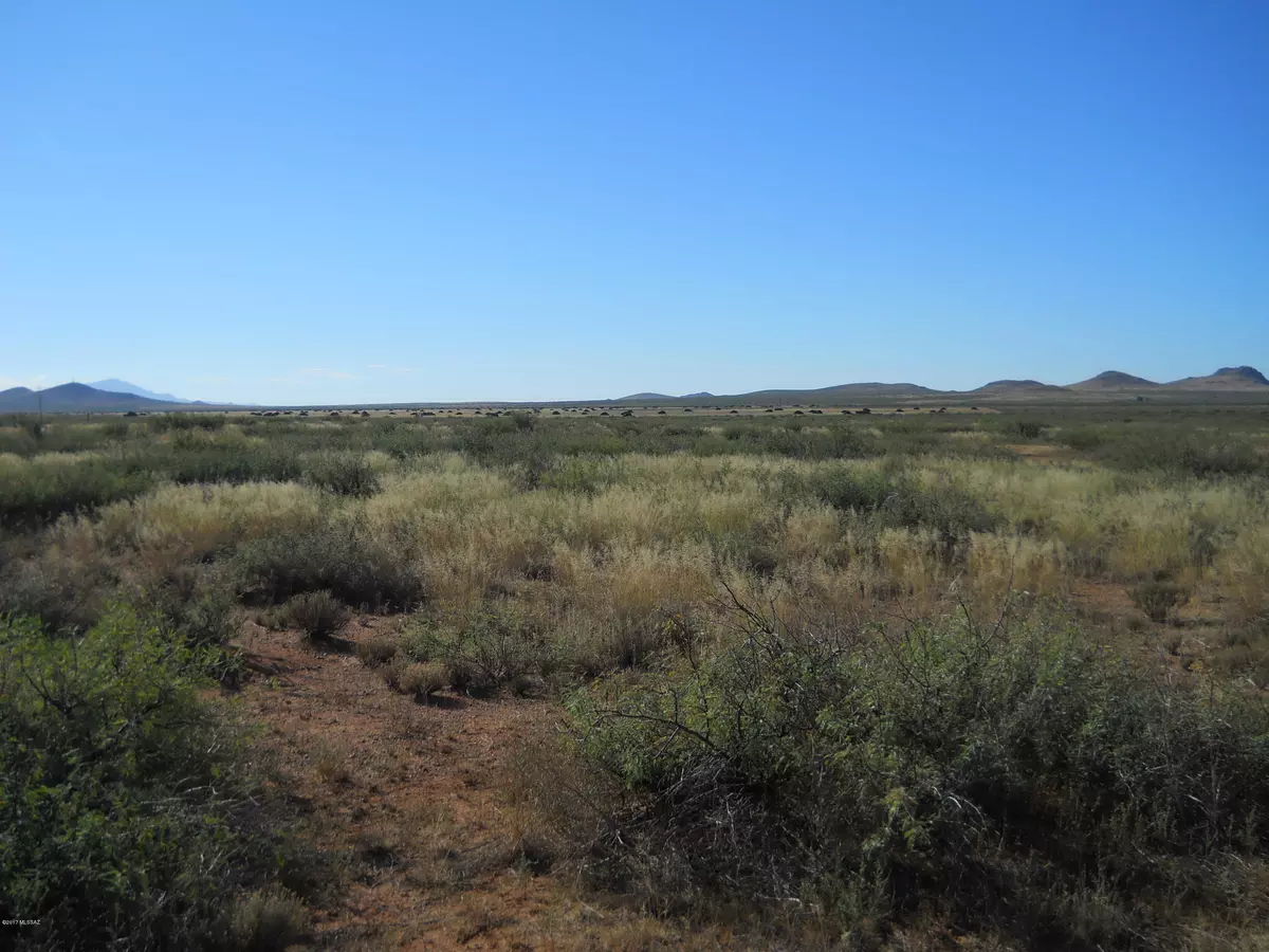 Pearce, AZ 85625,TBD E Mule Deer Road #75