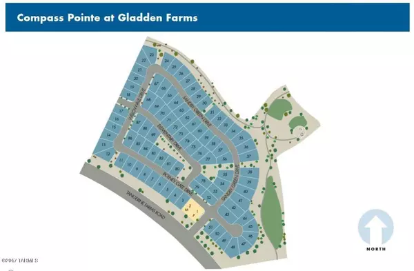 Marana, AZ 85653,12401 N Willowvale DriveN