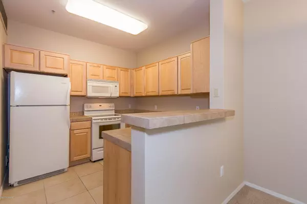 Tucson, AZ 85737,1500 E Pusch Wilderness Drive #13103