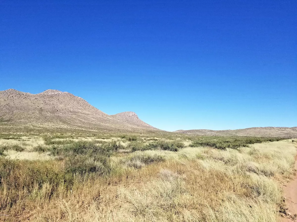 Pearce, AZ 85625,40 AC E Deer Haven Ranch rd  #4