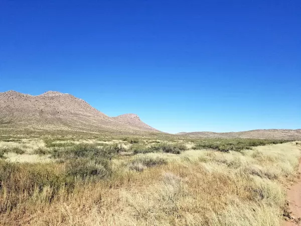 40 AC E Deer Haven Ranch rd  #4, Pearce, AZ 85625