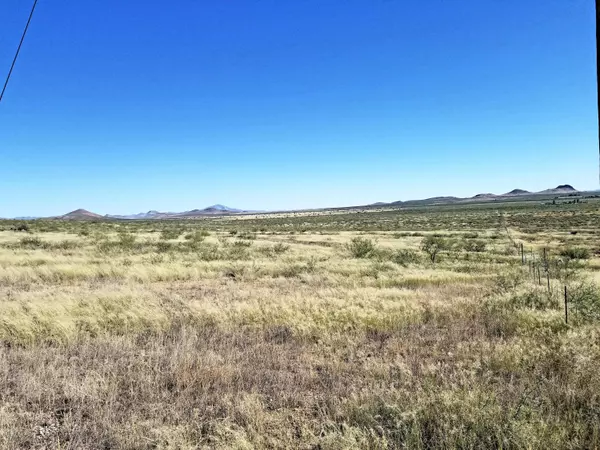 Pearce, AZ 85625,40 AC E Deer Haven Ranch rd  #4