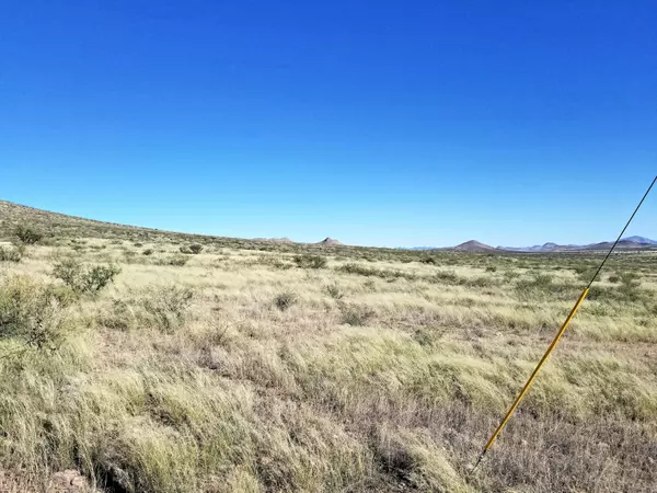 Pearce, AZ 85625,40 AC E Deer Haven Ranch rd  #4