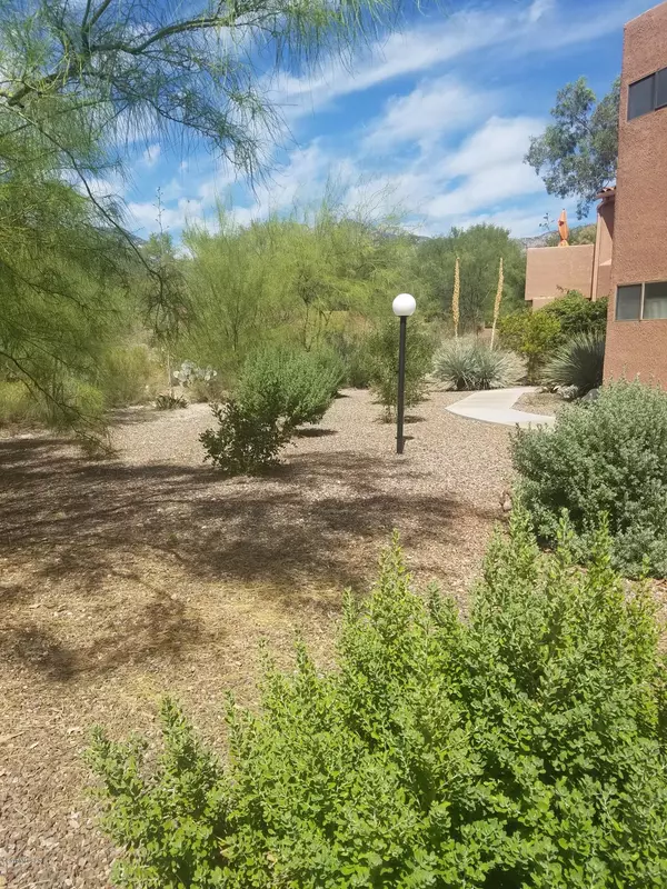 Tucson, AZ 85750,5051 N Sabino Canyon Road #1132