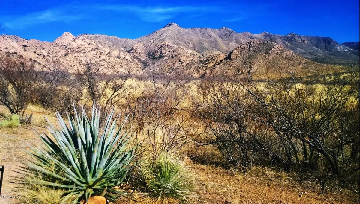 Elfrida, AZ 85610,Jefferson Road