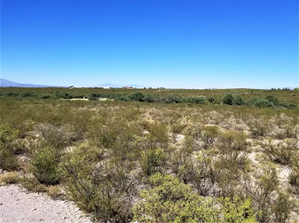 Tombstone, AZ 85638,10 AC W Reed RD  #1