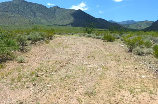 Portal, AZ 85632,61 ac S Foothills Road #0