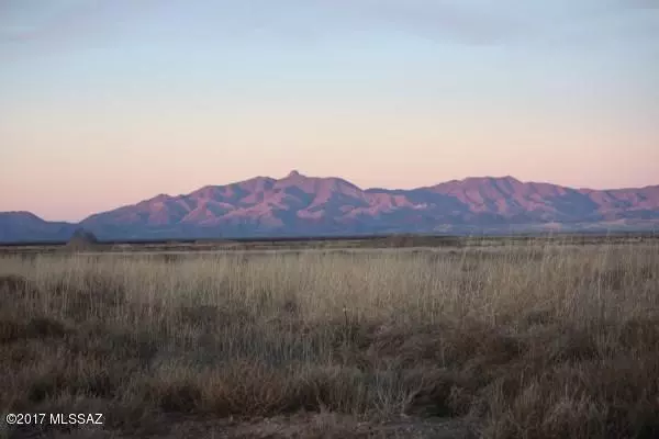 0 Doe Ranch Road #00, Pearce, AZ 85625