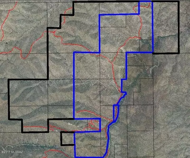 Carpenter Springs Road, Redington, AZ 85602